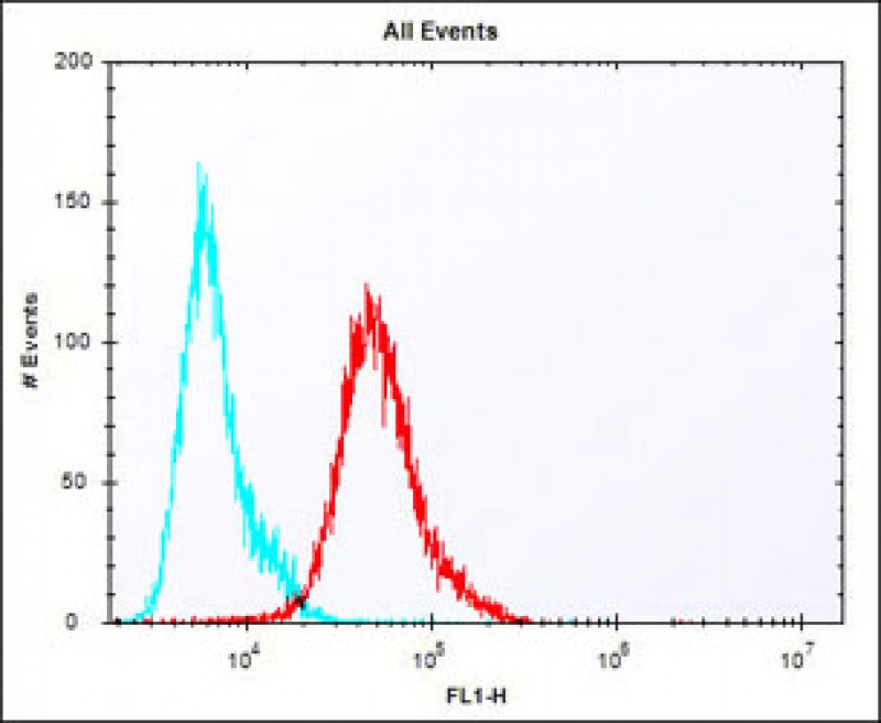 Mouse Pbk Antibody (N-term) [APR04430G]