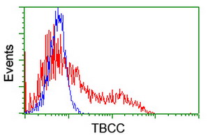 TBCC Mouse Monoclonal Antibody [Clone ID: LBI1G1]